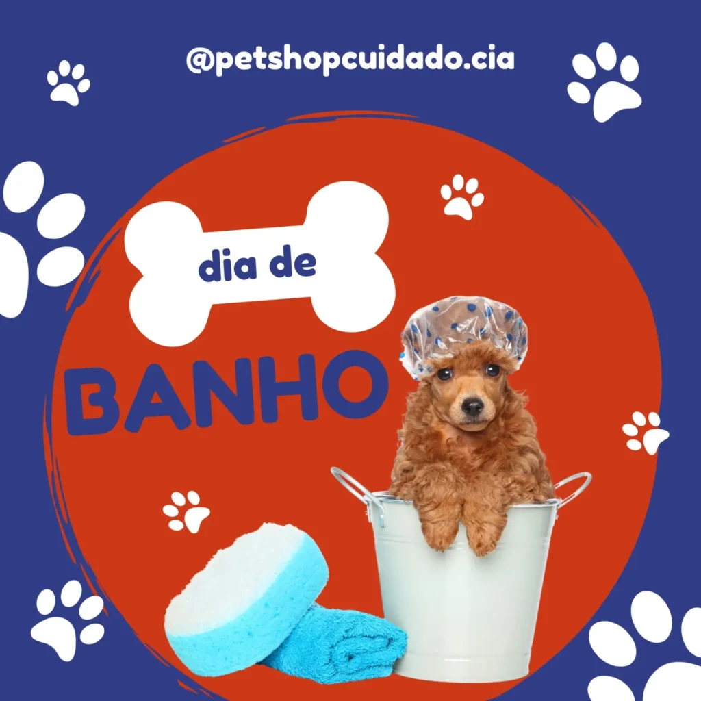 WhatsApp Image 2024 10 14 at 13.55.13