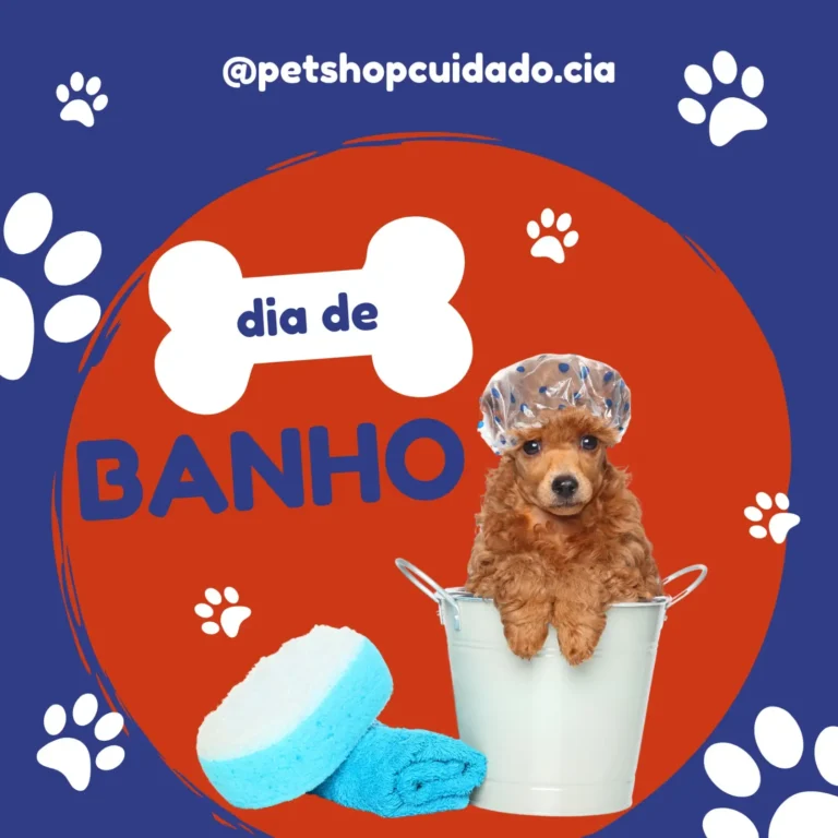 WhatsApp Image 2024 10 14 at 13.55.13