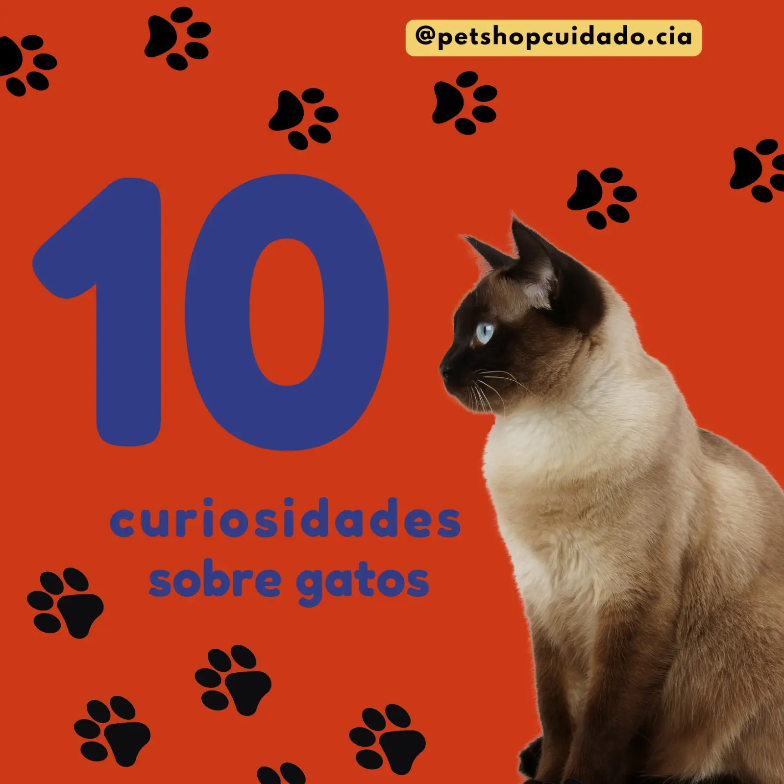 WhatsApp Image 2024 10 14 at 14.05.16