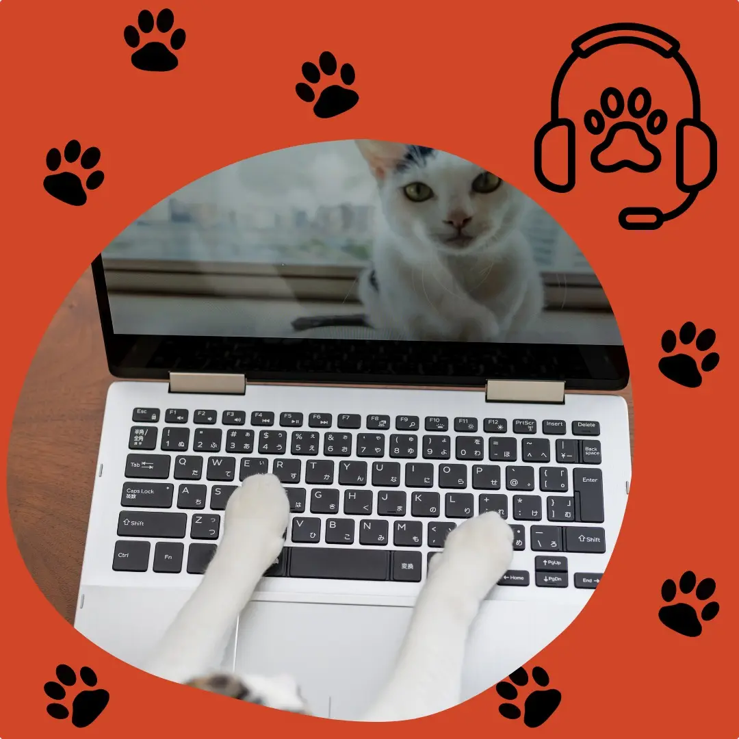 WhatsApp Image 2024 10 14 at 15.08.44