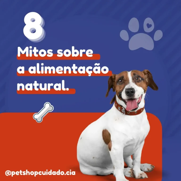 Whatsapp image 2024 10 14 at 15.28.19