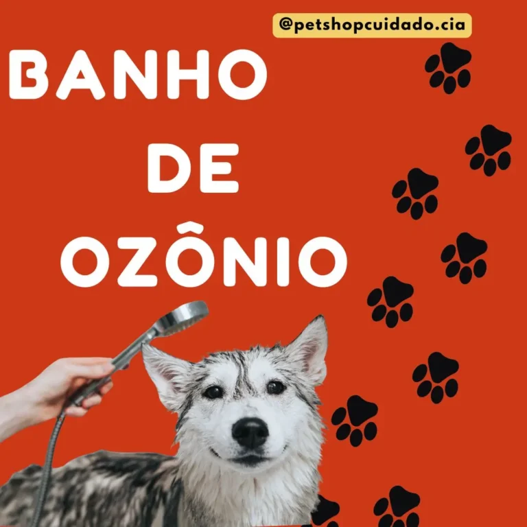 Whatsapp image 2025 09 16 at 15.43.28